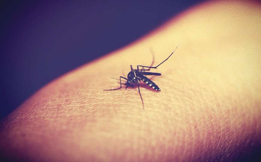 Ublažite ubod komarca prirodnim putem