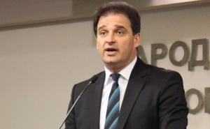 Govedarica: Tadić svojim istupima šteti SDS-u