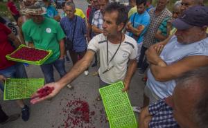 Ministar Dedić: Predstavit ćemo nove cijene i mjere za malinare