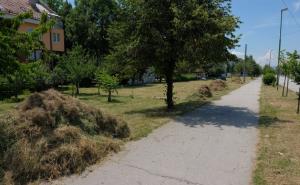 U Novom Gradu stanje prirodne nesreće zbog trave, reagirao SDP