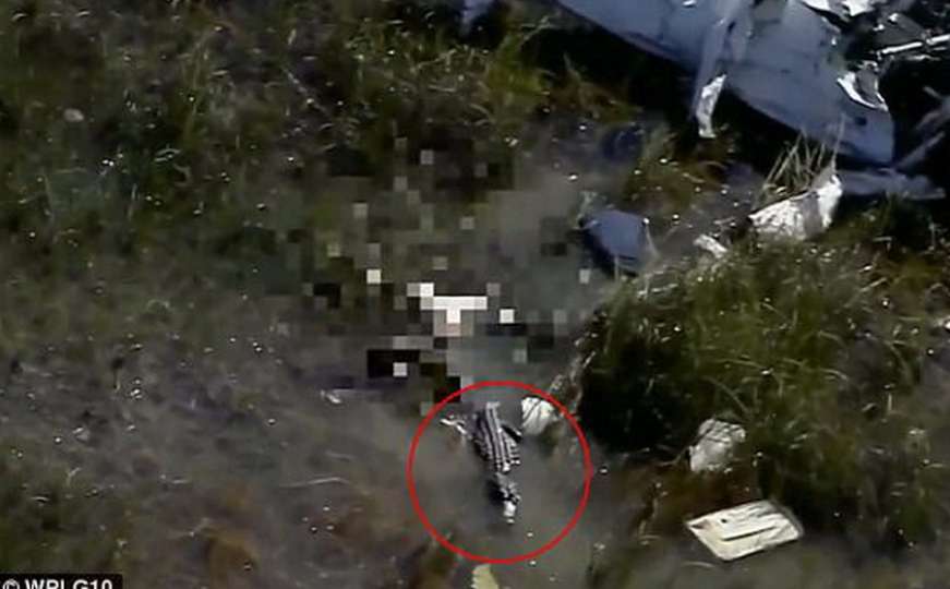 Močvara: Aligator ugrizao tijelo žrtve pada aviona