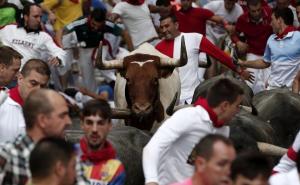 Nema šale s bikovima u Pamploni: Za dva dana izbodeno pet osoba