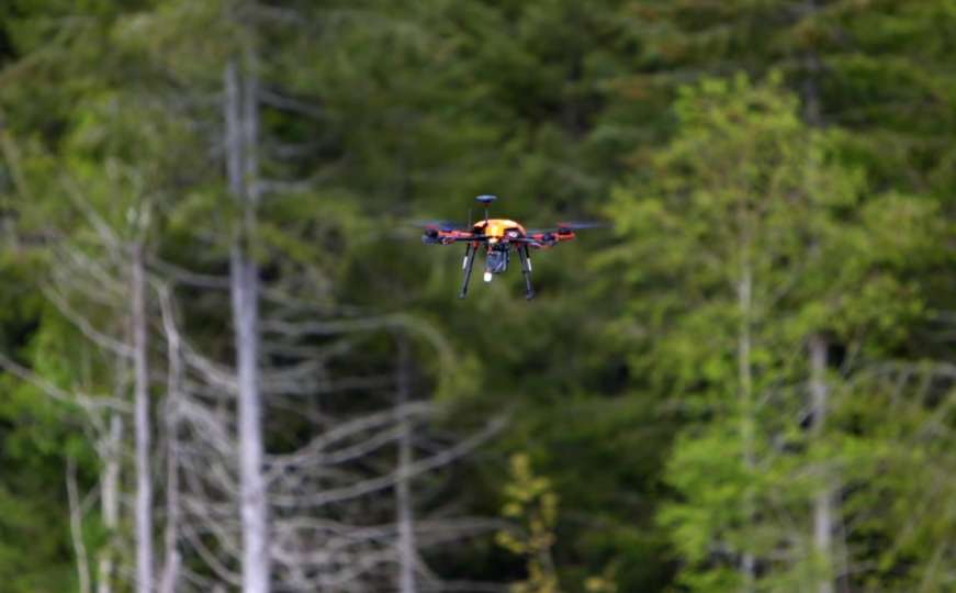 Tehnologija donosi spas: Dronovi bi uskoro mogli saditi drveće