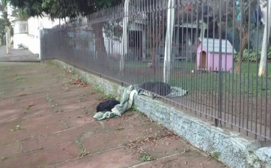 Pas velikodušno podijelio svoju deku s prijateljem beskućnikom