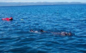 Arnaud Gerard je prvi ronilac na dah koji je dosegao dubinu od 95 metara