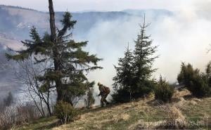 Trebinje: Od požara odbranjene kuće, crkva i lokalno groblje