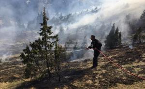 Požari poharali regiju: Jesu li vatrogasci u BiH spremni odgovoriti izazovu