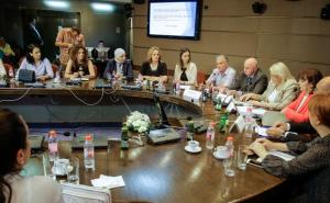 Mahmutbegović: Nužno je promijeniti zakonski status porodilja