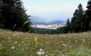 Nakon pretežno oblačnog jutra tokom dana postepeno razvedravanje