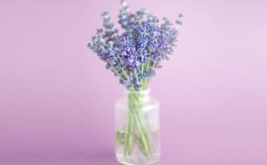 Čudesna moć lavande: Ublažava menopauzu i stres, liječi impotenciju 