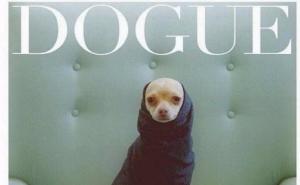 Najslađe fotografije pasa svih vremena