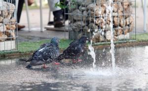 Narandžasto upozorenje od 30. jula do 6. augusta zbog visoke temperature