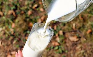 Zašto je važno piti mlijeko 