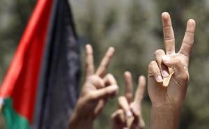 Stotine ljudi na protestu podrške Palestincima ispred izraelske ambasade