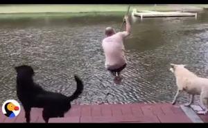 Psi uskočili u vodu kako bi "spasili" svoga vlasnika i postali hit