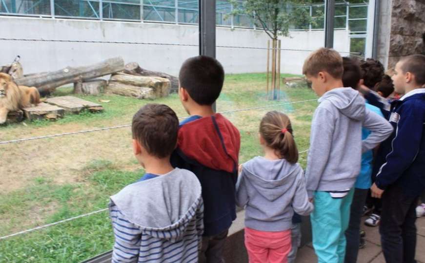 Povećane posjete Pionirskoj dolini: Sarajlije vole "zoo-bebe"