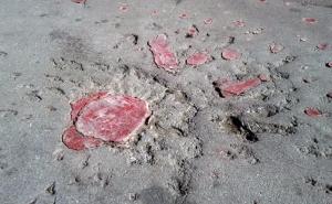 Obilježena godišnjica stradanja civila u ulici Ilije Engela 