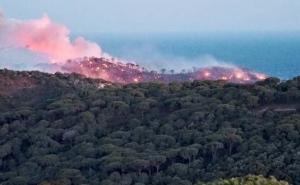 Vjetar rasplamsao požar kod Trebinja, i mještani gase vatru