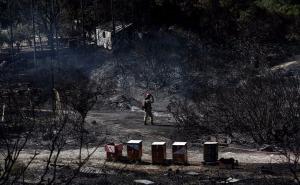 Grčka: Zbog požara evakuirano više desetina kuća