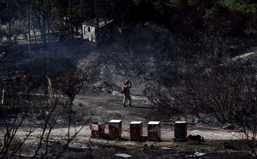 Grčka: Zbog požara evakuirano više desetina kuća