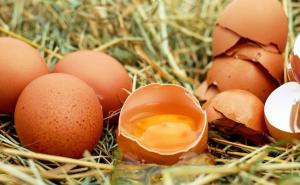 Stručnjak za trovanje hranom otkrio šta nikad ne bismo trebali jesti