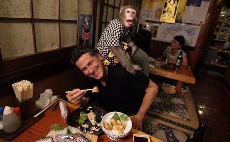 U restoranu Kaorua Otsuke majmuni rade kao konbari