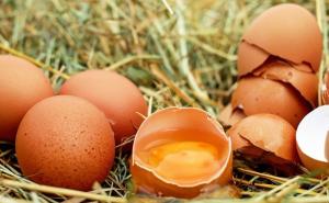 Ured za veterinarstvo: U BiH nema nedozvoljenih količina fipronila u jajima