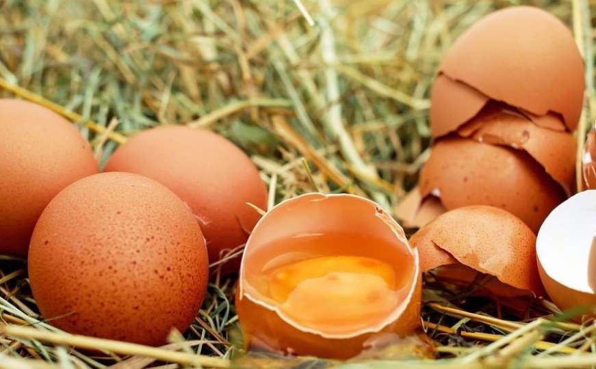 Ured za veterinarstvo: U BiH nema nedozvoljenih količina fipronila u jajima
