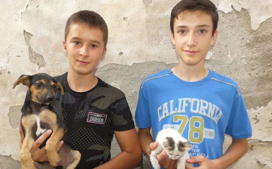 Nemanja i Bogdan, dječaci iz Modriče koji su napravili azil za pse i mačke