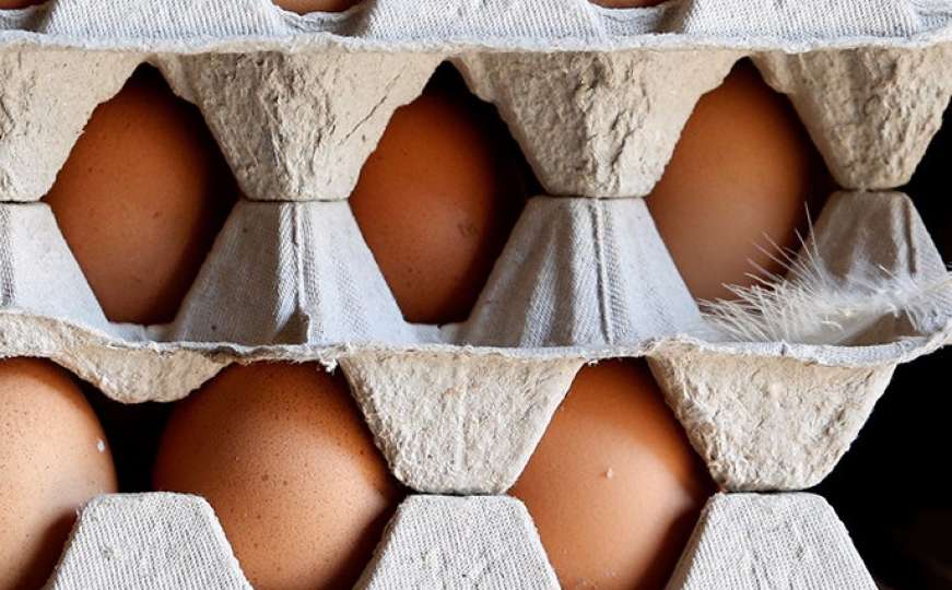 Dvojica Holanđana pred sudom zbog skandala sa zatrovanim jajima