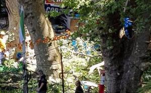 U Portugalu palo stablo na hodočasnike: Poginulo 11 osoba