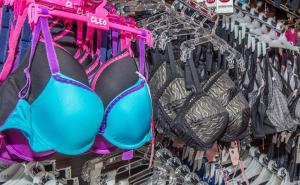 Uhapšena dvojica državljana BiH: Iz radnje ukrali dva grudnjaka