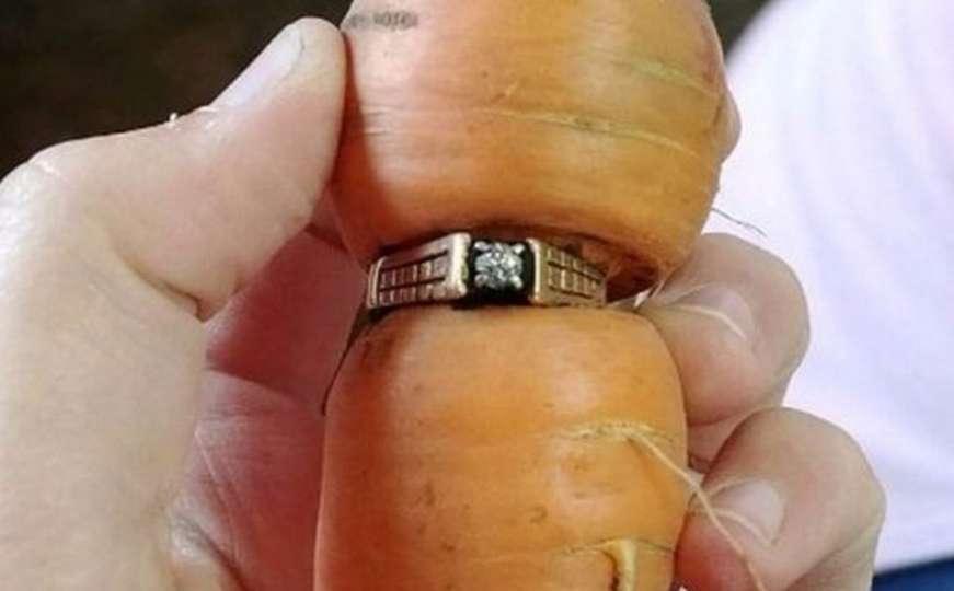 Kanada: Davno izgubljeni dijamantski prsten pronašla na mrkvi u bašti