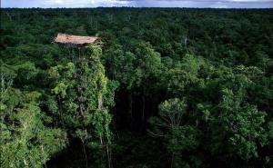 Tajno pleme kanibala za koje niko nije znao