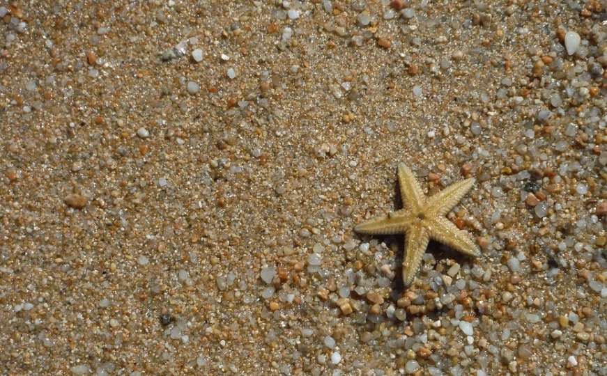 Hiljadu eura kazne za odnošenje pijeska i školjki sa plaže