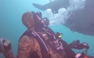 Divovska raža doplivala do ronioca i zamolila ga za pomoć