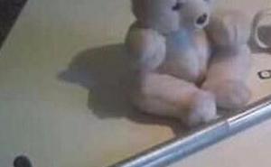 A koji ćete vi čaj?