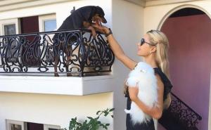 Ljubimci Paris Hilton žive u luksuznoj vili, a svaki ima svoju sobu