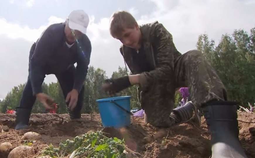 Predsjednik Bjelorusije oduševio javnost, sa sinom vadio krompir na svom imanju