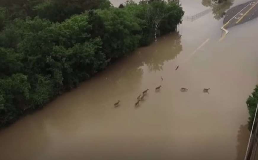 Drama u Houstonu: Brana preliva, ugrožen centar grada