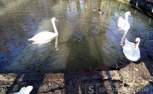 Danas i sutra sunčano, od petka promjena vremena