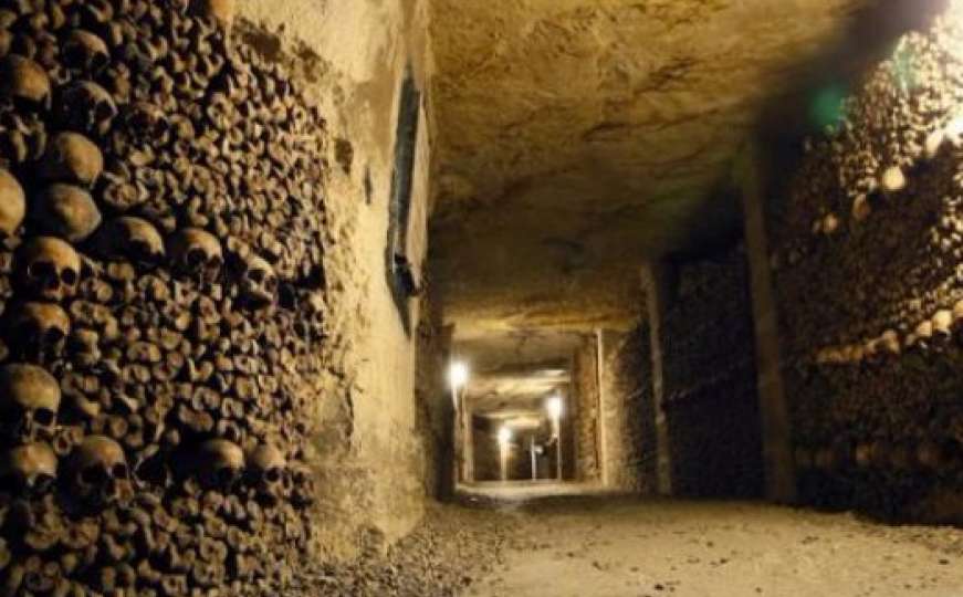 Lopovi kroz tunele ukrali vino vrijedno 500.000 KM