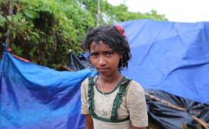 Rohinja muslimani u improviziranim šatorima borave sa stokom