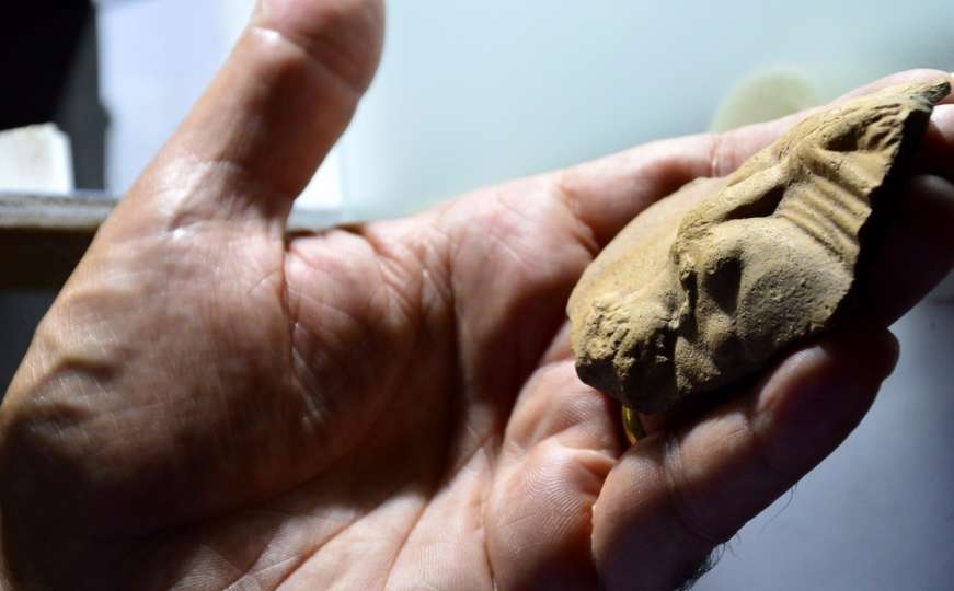 Pronađeni fosili životinja stari devet miliona godina