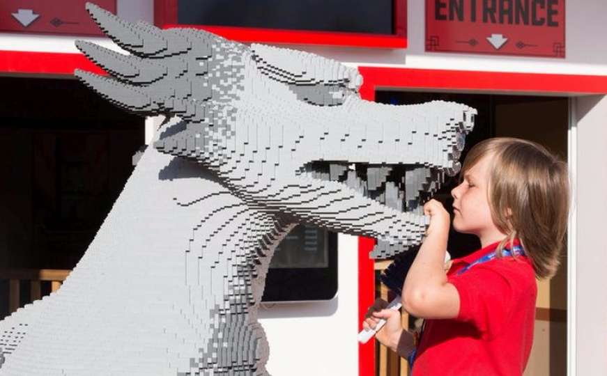 Šestogodišnji dječak se prijavio na oglas u Lego: Ja imam najviše iskustva