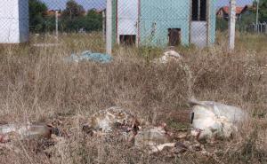 Kazne Sarajlijama koje su istresale ostatke kurbana u vodozaštitnu zonu