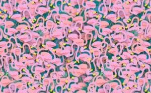 Među flamingosima koji su obilježili ovo ljeto pronađite - balerinu