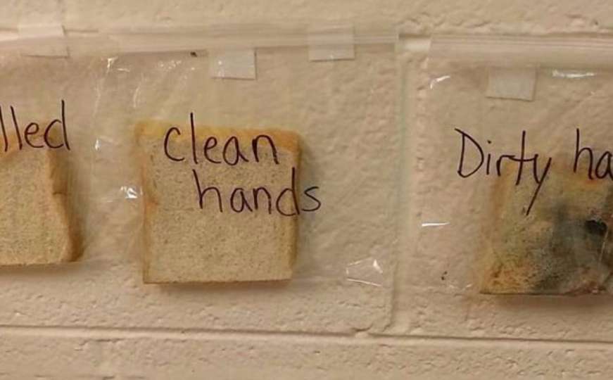 Eksperiment s hljebom pokazuje koliko bakterija prenesete prljavim rukama
