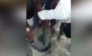 Zavukao se u usku rupu kako bi spasio zarobljeno jagnje