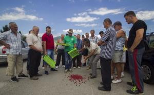 Malinari u ponedjeljak dolaze na proteste ispred zgrade institucija BiH